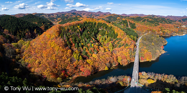 autumn foliage japan