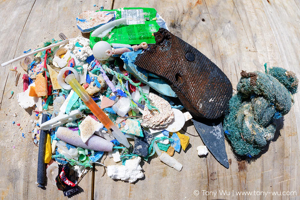 Plastic garbage collected from beach