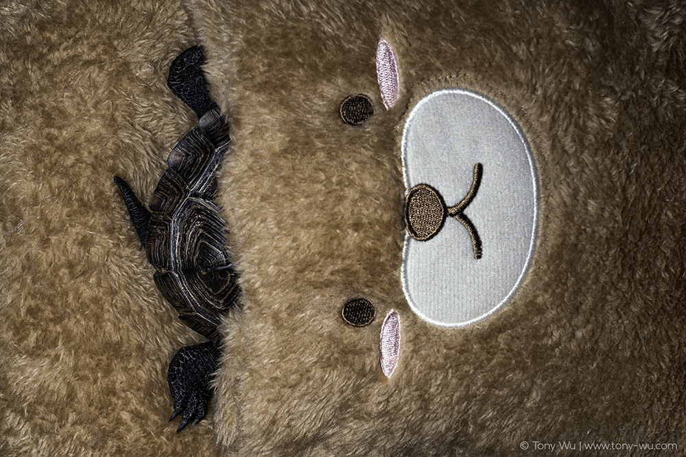 Oogway in foot warmer pocket