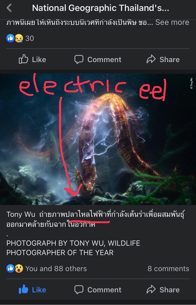 National Geographic Thailand WPY58