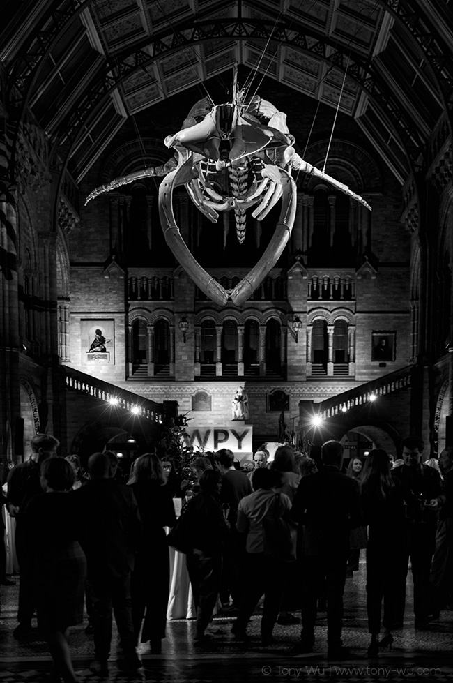 hintze hall NHM London