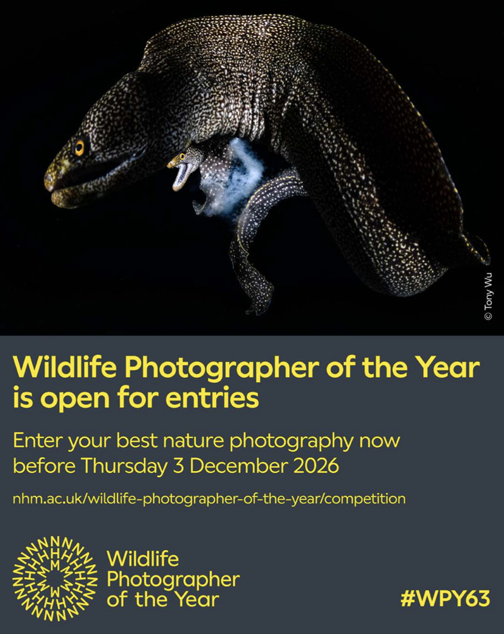 wpy63 entry