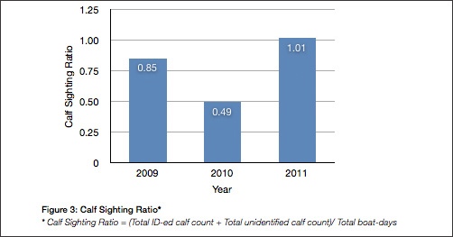 Graph ofCalf Sighting Ratio for 2011 Humpback Whale Season in Tonga