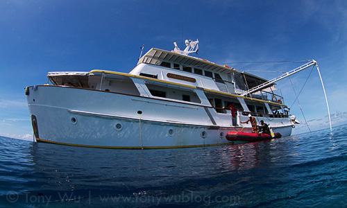 MV Golden Dawn, Papua New Guinea