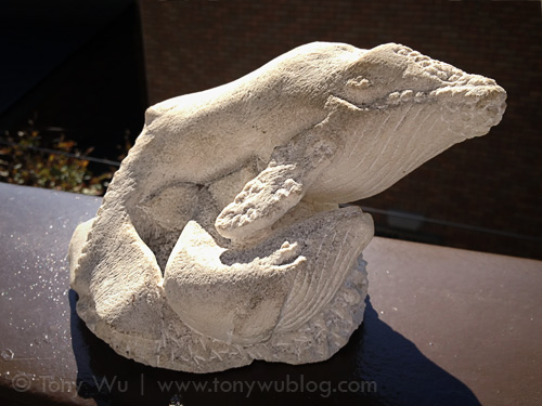 Humpback whale mother and calf carved from sandstone