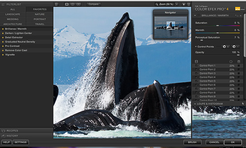 Nik Software Color Efex Pro 4, before Brilliance/ Warmth filter Before applying the Perceptual Saturation slider