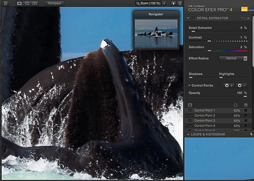 Before applying Nik Software Color Efex Pro Detail Extractor Filter Before applying the Detail Extractor Filter