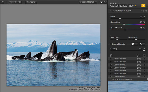 Nik Sofware Color Efex Pro Glamor Glow Filter Making creative use of the glamor glow filter