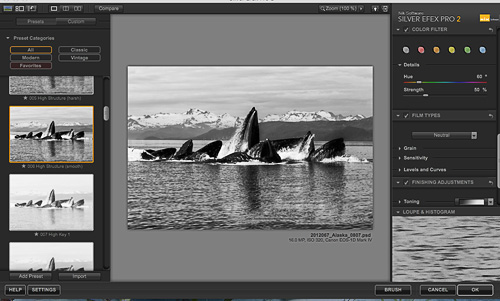 Using Silver Efex Pro to tweak a color image