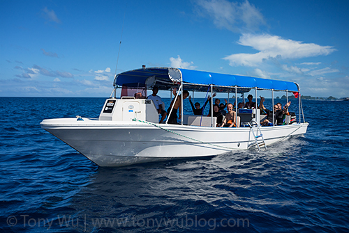 One of Blue Marlin dive boat, Palau