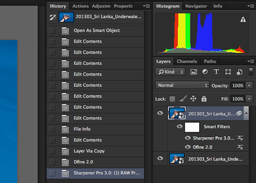 Duplicate original layer, apply Nik Dfine 2.0, Sharpener Pro 3.0